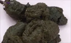Tried to wipe her ass clean