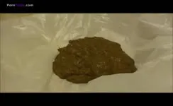 Pooping on a plastic bag