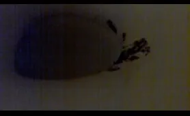 Lady Drops a Nasty Load on Fresh Shit