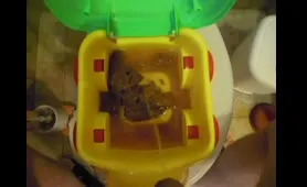 Babe Shits and Pisses on a Toy