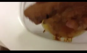 The Poop Hunter Finds a Nasty Dump