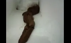 Dude Shits on Something Fresh