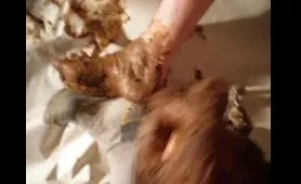 Guy Covers Himself in Crap