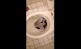 Lady Pees in an Imaginary Toilet