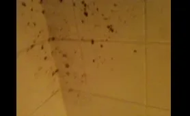 Woman Shits on Toilet Floor