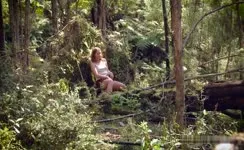 Forest spring