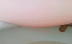 Brown shit from a sexy ass