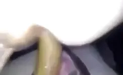 Brown shit on slave's face