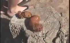 Blonde babe shitting outdoor