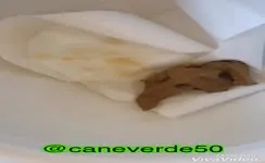 Pushing big pile of shit