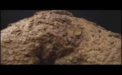 Lots of poop on naked body