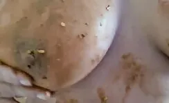 Amateur bbw lady poop smearing her big boobs 