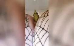 Amateur sexy MILF pooping in the toilet 