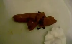 Fresh big turd in the toilet 
