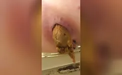 Closeup of hot ass pooping big load 