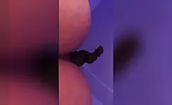 Mix of sexy babes poop