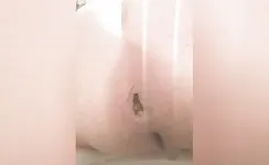 Anal Gape While Pooping 