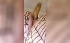 Amateur horny milf pooping video 