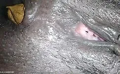 Black pussy ebony lady pooping 
