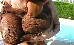 Sexy pussy and boobs covered in shit 