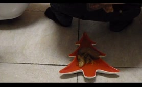Naughty Babe Craps Something Nasty on Xmas