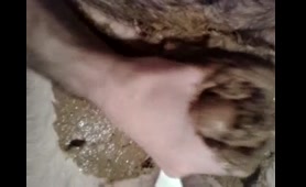 Sexy Babe Has a Nice Dirty Poop POV