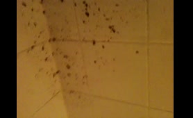 Woman Shits on Toilet Floor