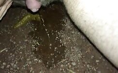 Mature lady with big clit piss & poop at the night 