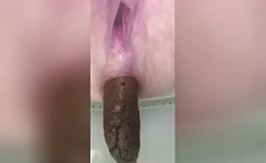  Sweet pooping compilation 