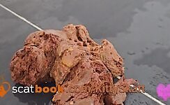 Lady Drops a Nasty Load of Shit